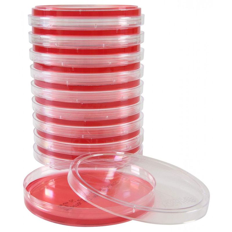 Mannitol Salt Agar