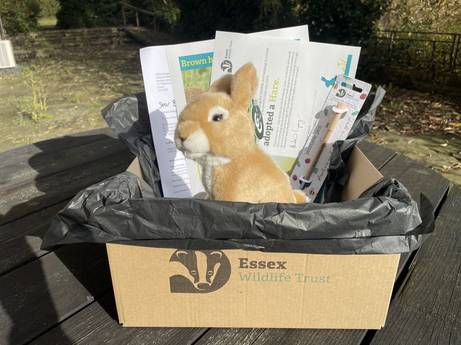 Adopt a hare - gift box